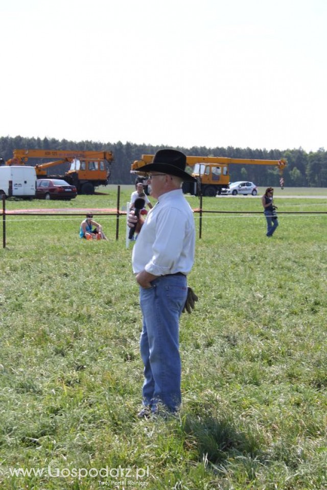 Wypas bydła zdjęcie nr 16