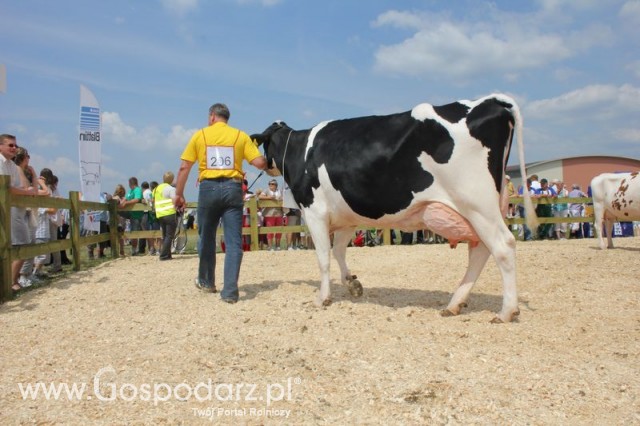 Nagordy dla superchampionów i championów  - 34