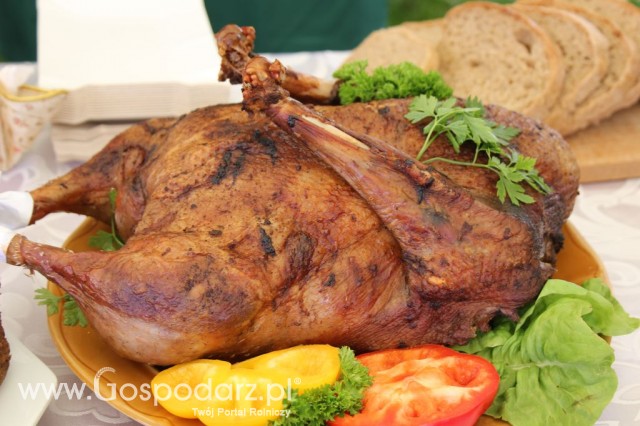 IX Święto Gęsi w Biskupcu - 75