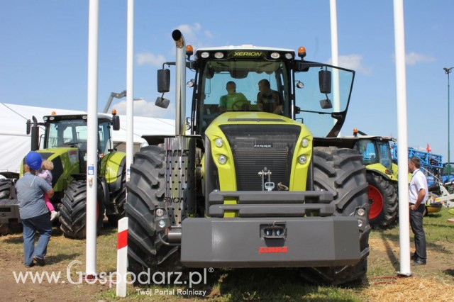 Szepietowo 2012 XIX Regionalna Wystawa Zwierząt Hodowlanych, I Ogólnopolska Wystawa Drobiu oraz Dni z Doradztwem Rolniczym - 12