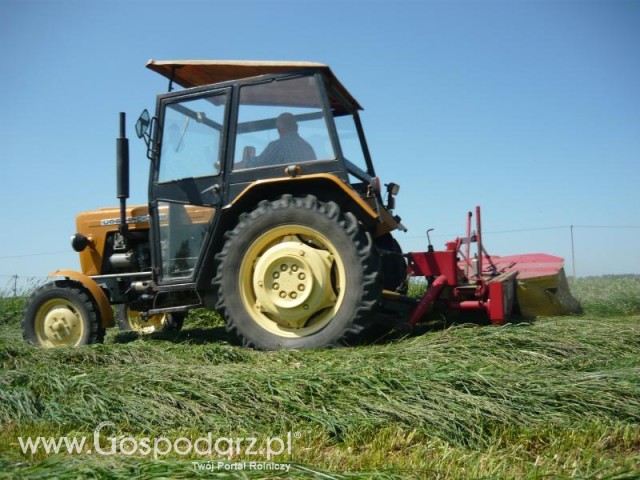 Czy to nie piękny ciągnik?