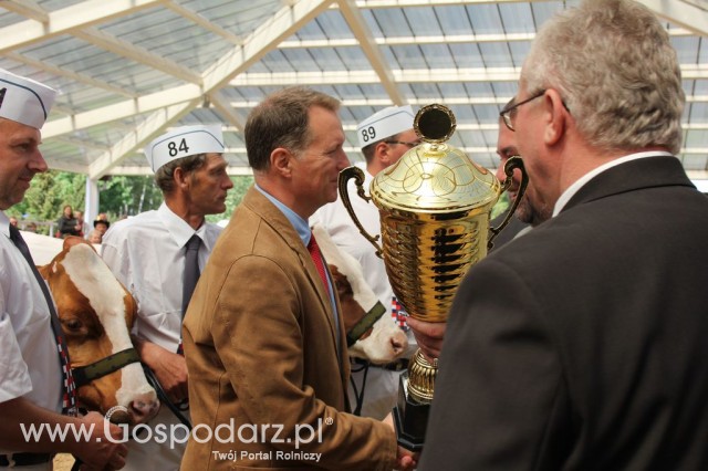 VII Ogólnopolska Wystawa Bydła Hodowlanego - 37