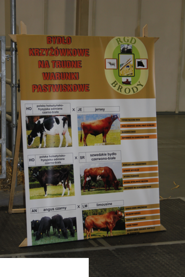 Foto reportaż z Międzynarodowych Targów Hodowli Zwierząt FARMA