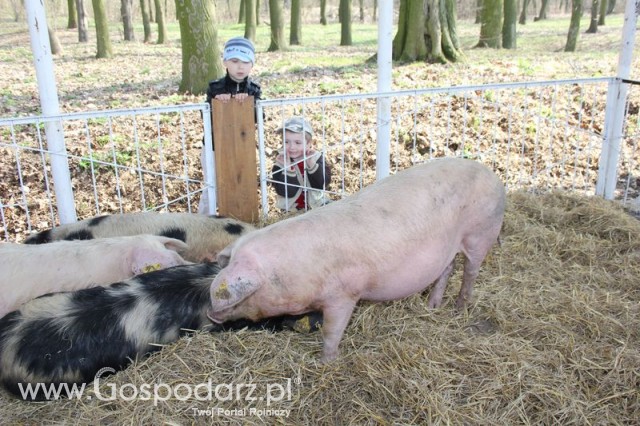 Foto reportaż z Targów Rolno-Ogrodnicze AGROMARSZ Marszew 2011