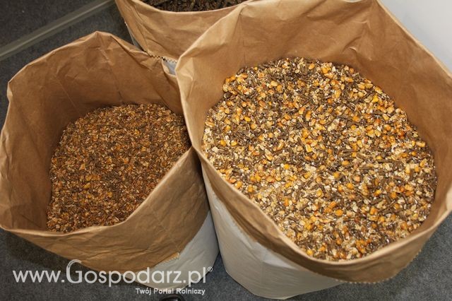 Fotoreportaż  z XI Międzynarodowych Targów Fermy Bydła