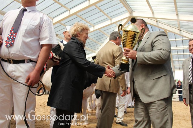 VII Ogólnopolska Wystawa Bydła Hodowlanego - 32