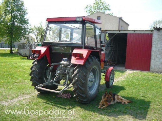 Efekt koncowy;) fota nr 2