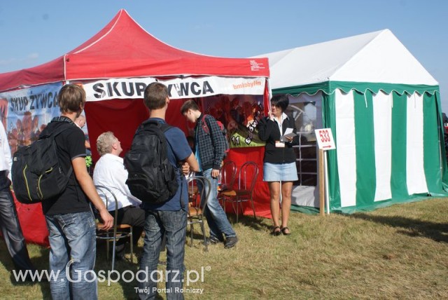 Zdj. - 65 - BM KOBYLIN Sp. z o.o.