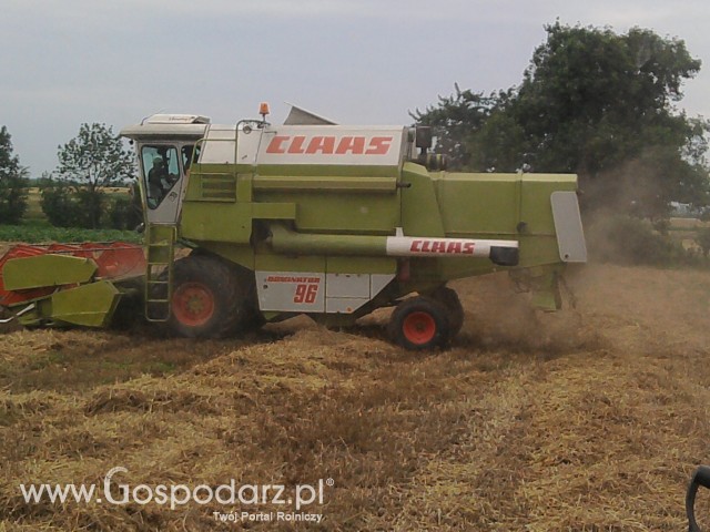 Żniwa Claas 96 