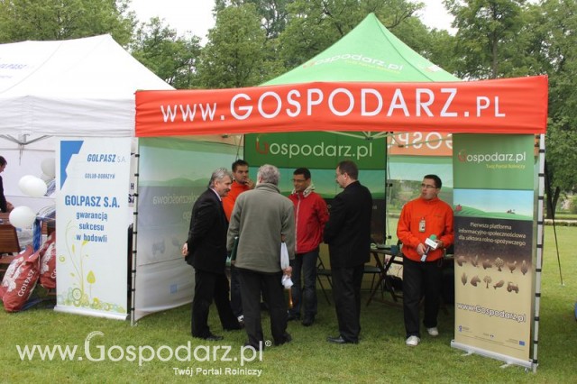 Pierwsze dni indyka w Koźminku