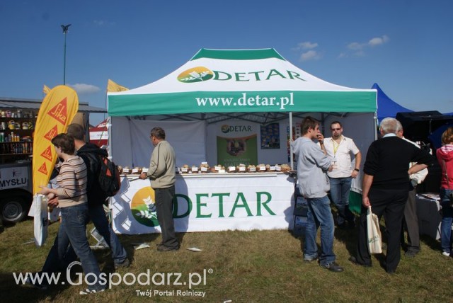 Zdj. - 15 DETAR M.Kusek Spółka Jawna