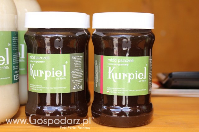 XV Spotkania Tradycji Wielkanocnych Ziemi Kłodzkiej - 81