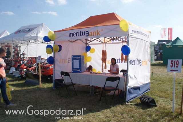 Zdj. - 75 - Meritum Bank