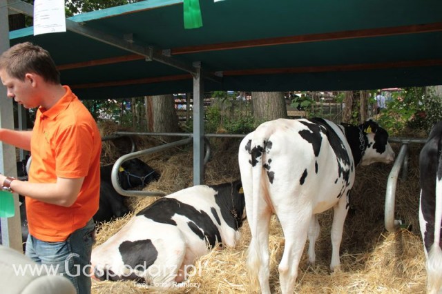 XX Targi Rolnicze Lubniewice