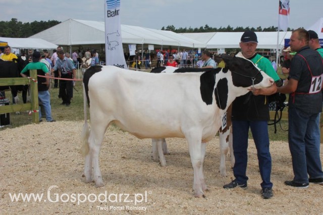 Nagordy dla superchampionów i championów  - 41