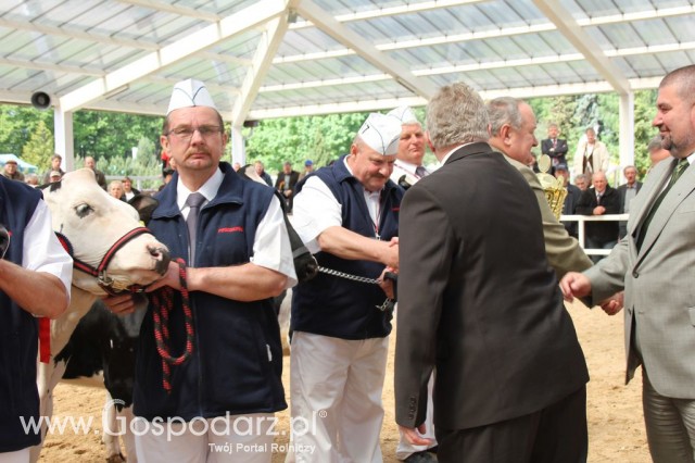 VII Ogólnopolska Wystawa Bydła Hodowlanego - 27