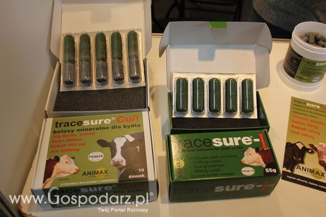 Fotoreportaż  z XI Międzynarodowych Targów Fermy Bydła