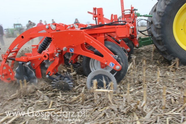 Kultywator STRIGER do uprawy pasowej - 7