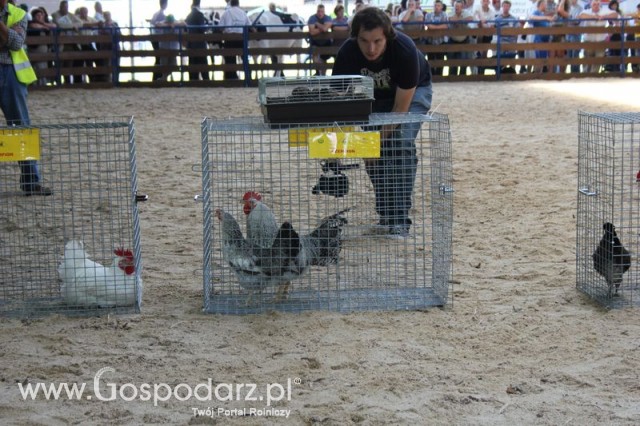 Nagrody - Szepietowo 2012 XIX Regionalna Wystawa Zwierząt Hodowlanych - 49