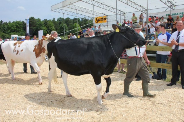 Nagordy dla superchampionów i championów  - 19