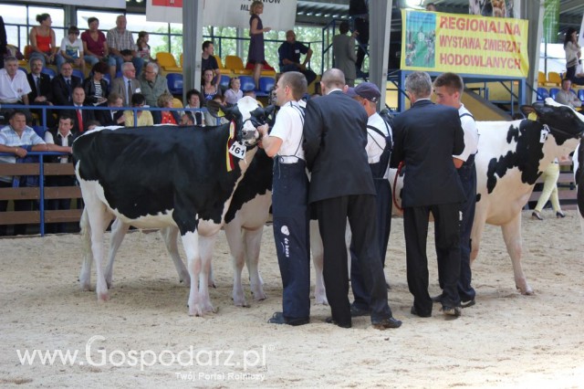 Bydło - Szepietowo 2012 XIX Regionalna Wystawa Zwierząt Hodowlanych - 67