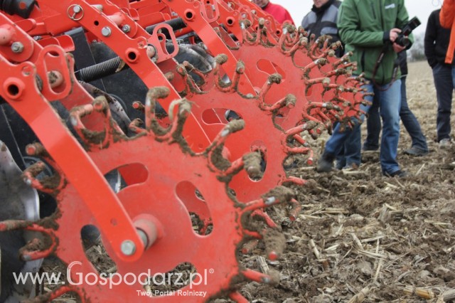 Kultywator STRIGER do uprawy pasowej - 20