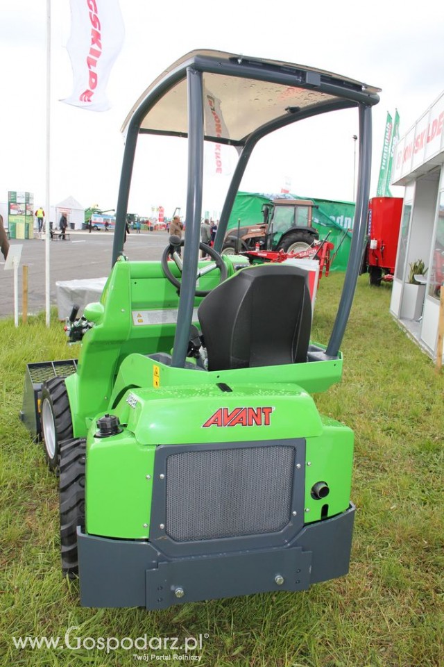 Zielone Agro Show Kąkolewo - Polskie Zboża  - 18