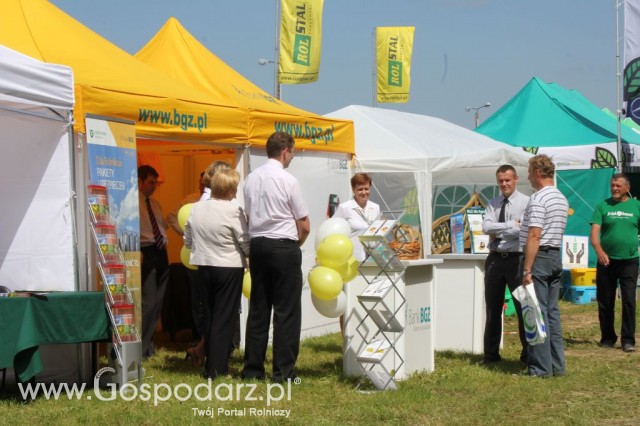 Szepietowo 2012 XIX Regionalna Wystawa Zwierząt Hodowlanych, I Ogólnopolska Wystawa Drobiu oraz Dni z Doradztwem Rolniczym - 4