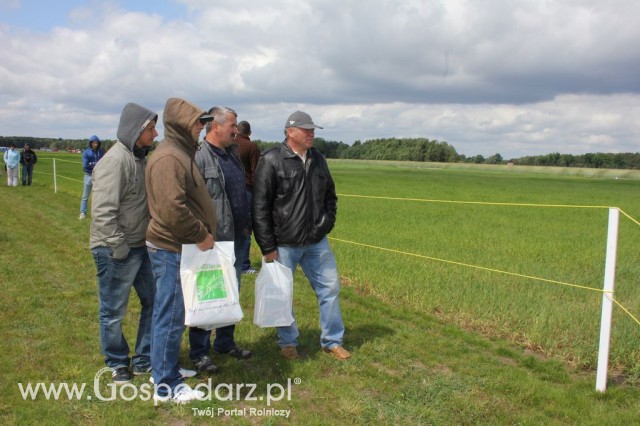 Zielone Agro Show Kąkolewo - Polskie Zboża  - 64