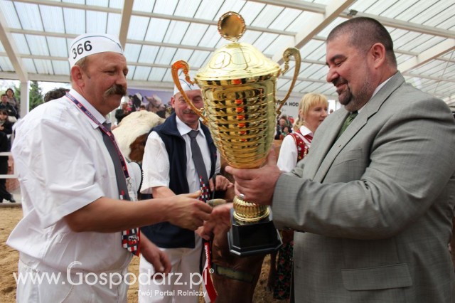 VII Ogólnopolska Wystawa Bydła Hodowlanego - 67