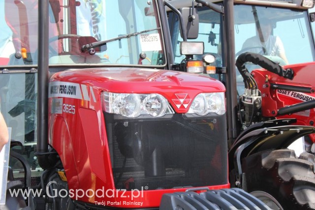 Ciągnik Massey Ferguson 3652