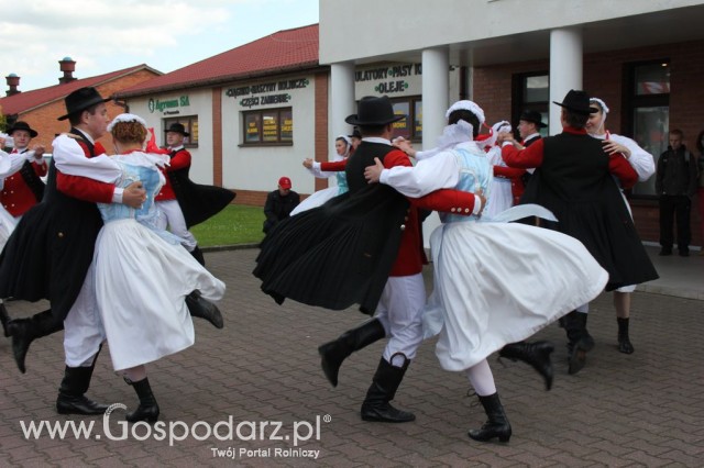 VII Ogólnopolska Wystawa Bydła Hodowlanego - 25