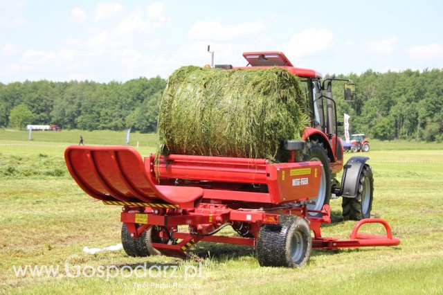 Szepietowo 2012 XIX Regionalna Wystawa Zwierząt Hodowlanych, I Ogólnopolska Wystawa Drobiu oraz Dni z Doradztwem Rolniczym - 59