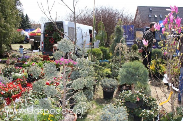 Fotoreportaż z XX Agro-Targów 2011 w Starej Łubiance