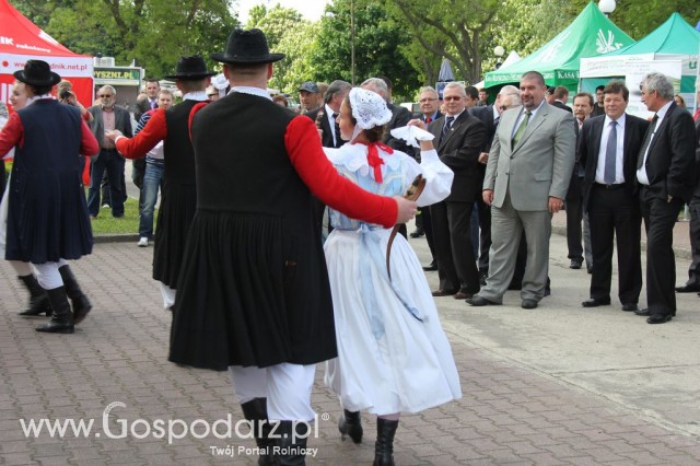 VII Ogólnopolska Wystawa Bydła Hodowlanego - 22