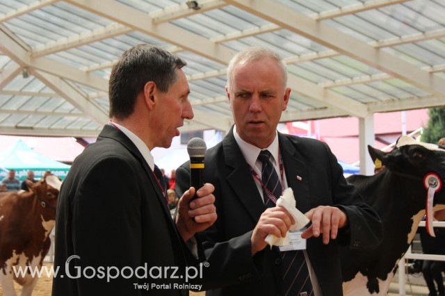 VII Ogólnopolska Wystawa Bydła Hodowlanego - 143