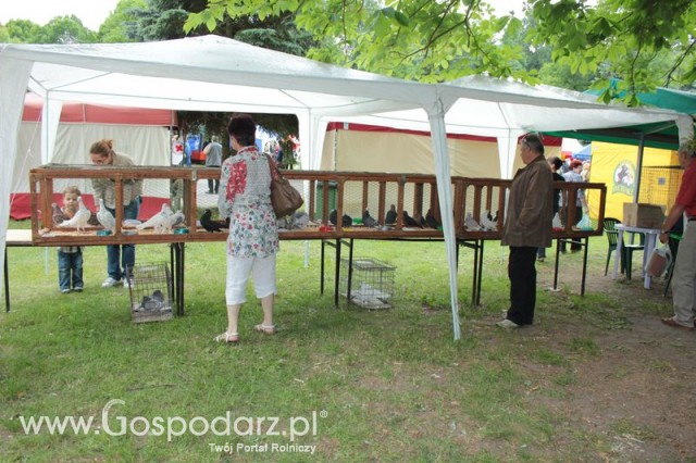 XX Targi Rolnicze Lubniewice 