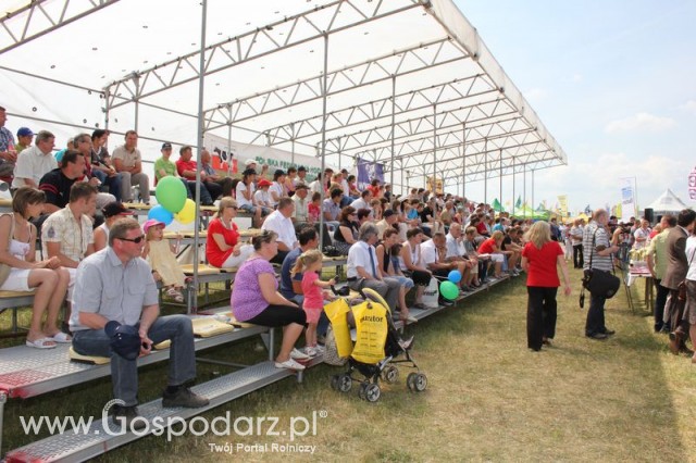 Nagordy dla superchampionów i championów  - 78