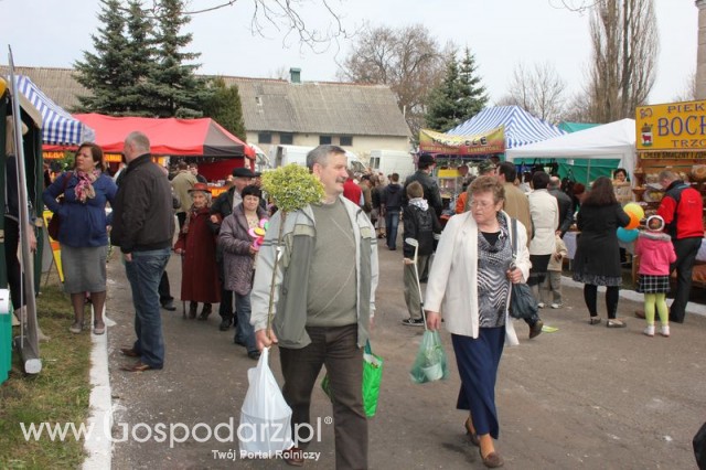 Fotoreportaż z XX Agro-Targów 2011 w Starej Łubiance