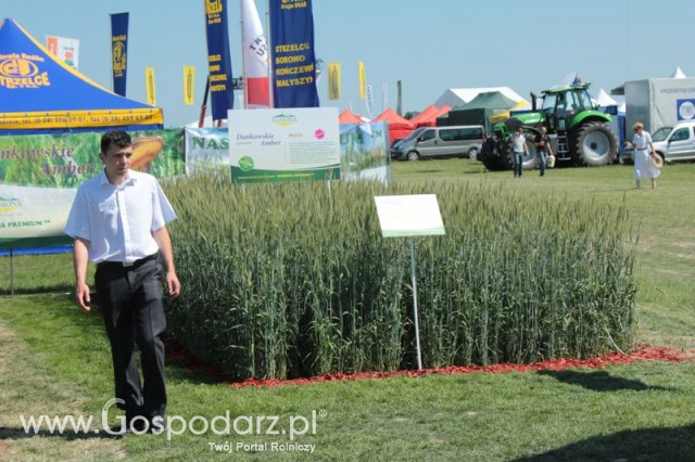 Polskie Zboża 2011