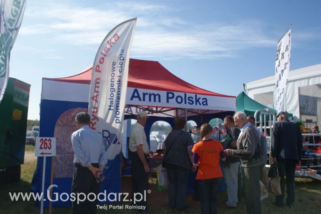 Zdj. - 435 - RYU ARM POLSKA JADWIGA SZCZUREK