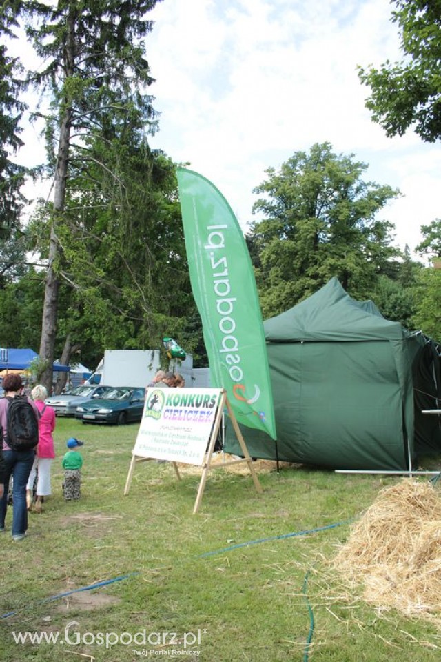 XX Targi Rolnicze Lubniewice 