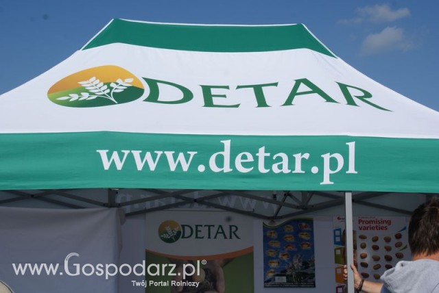 Zdj. - 17 DETAR M.Kusek Spółka Jawna