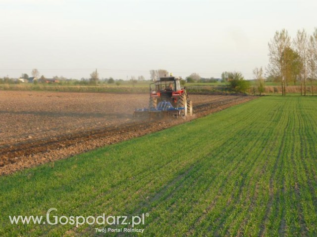 Ursus 1014 de luxe w oddali;)