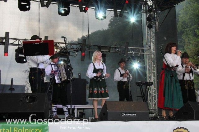 Występy artystyczne odbywające się podczas Dni Indyka