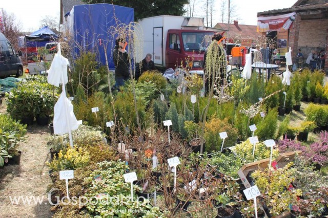 Fotoreportaż z XX Agro-Targów 2011 w Starej Łubiance