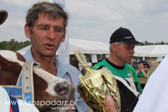 Nagordy dla superchampionów i championów  - 29