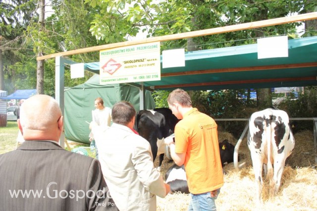 XX Targi Rolnicze Lubniewice