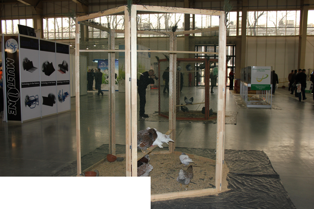 Foto reportaż z Międzynarodowych Targów Hodowli Zwierząt FARMA