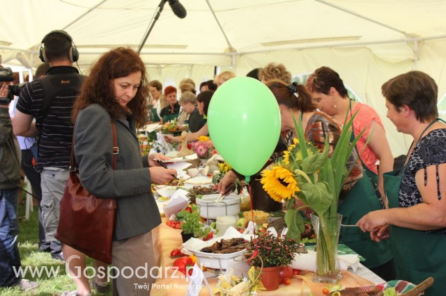 IX Święto Gęsi w Biskupcu - 103